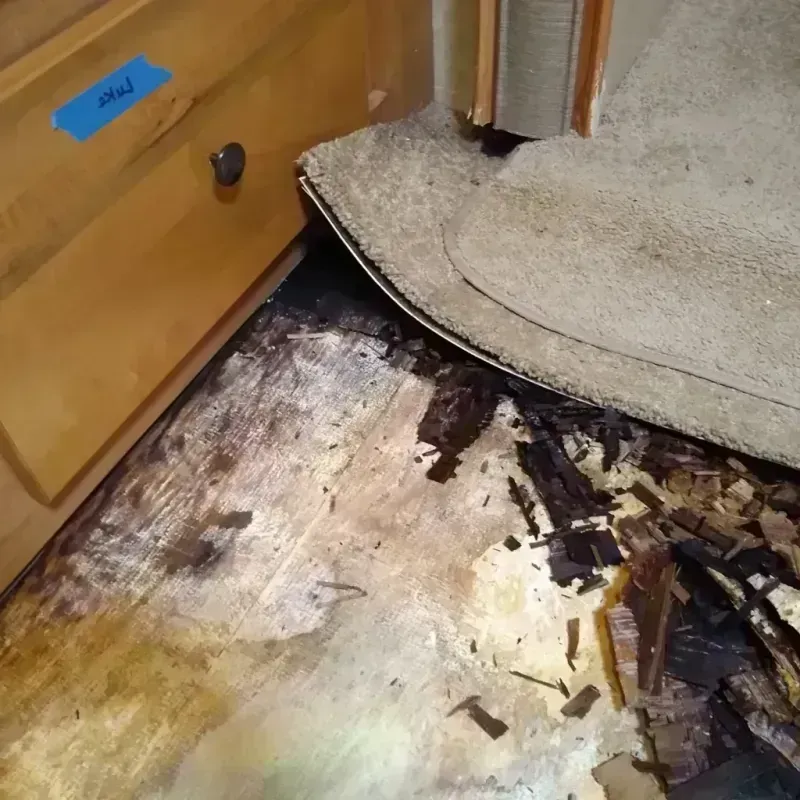 Wood Floor Water Damage in Brownsville, FL